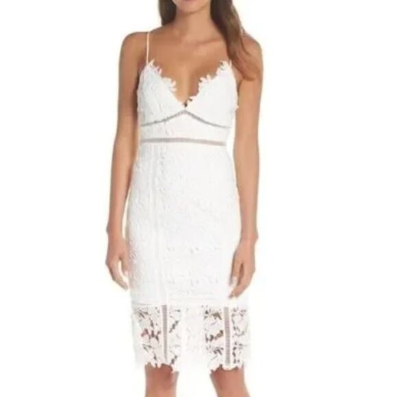 Bardot Botanica Lace Dress in Ivory - Picture 1 of 3